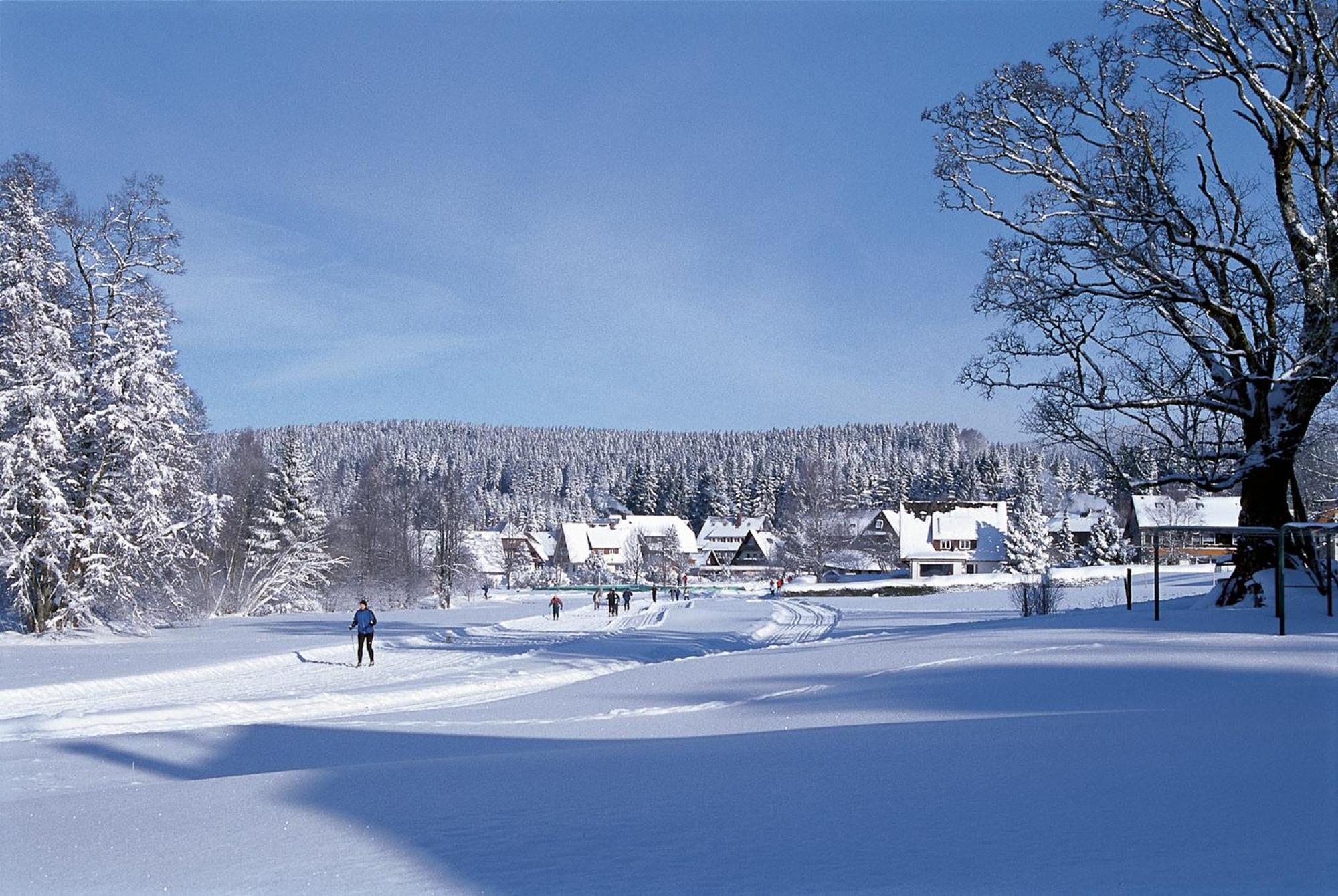 Drei Tannen - Wohnung 04 - Apartmenthaus, Titisee, Nahe Badeparadies מראה חיצוני תמונה