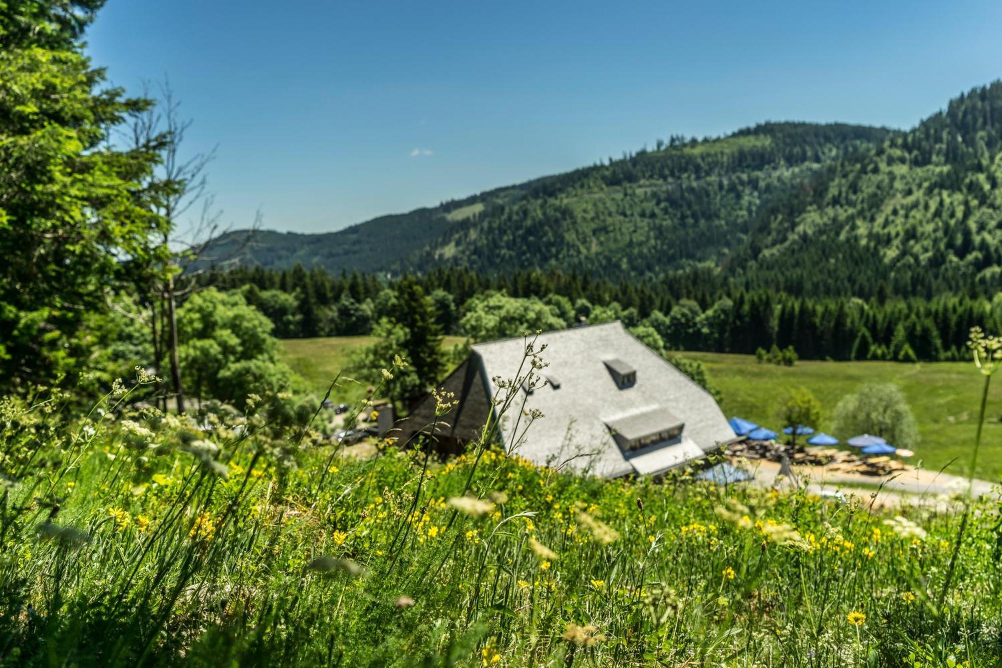 Drei Tannen - Wohnung 04 - Apartmenthaus, Titisee, Nahe Badeparadies מראה חיצוני תמונה