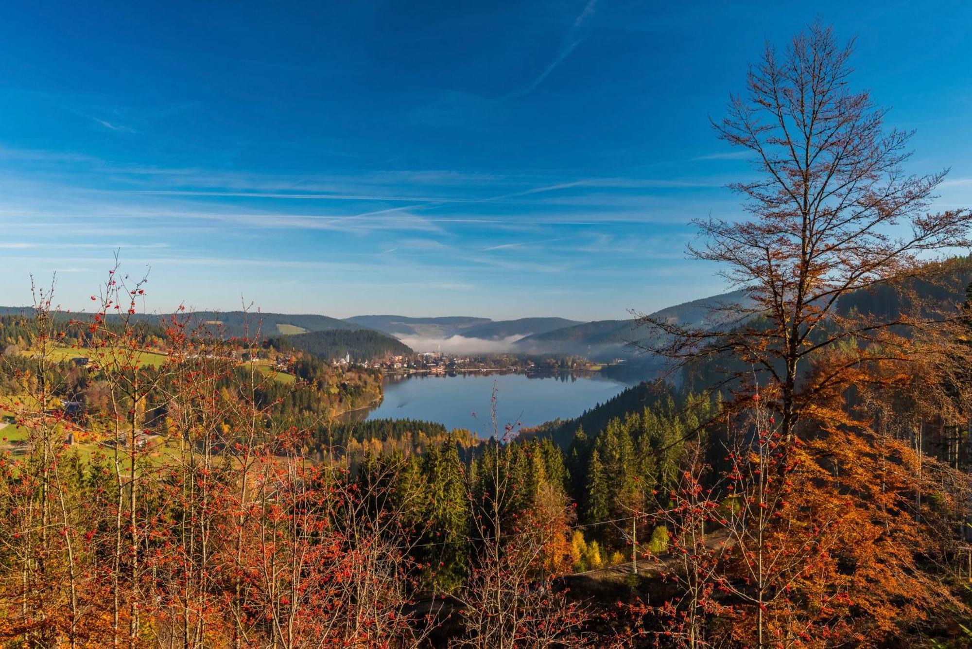 Drei Tannen - Wohnung 04 - Apartmenthaus, Titisee, Nahe Badeparadies מראה חיצוני תמונה