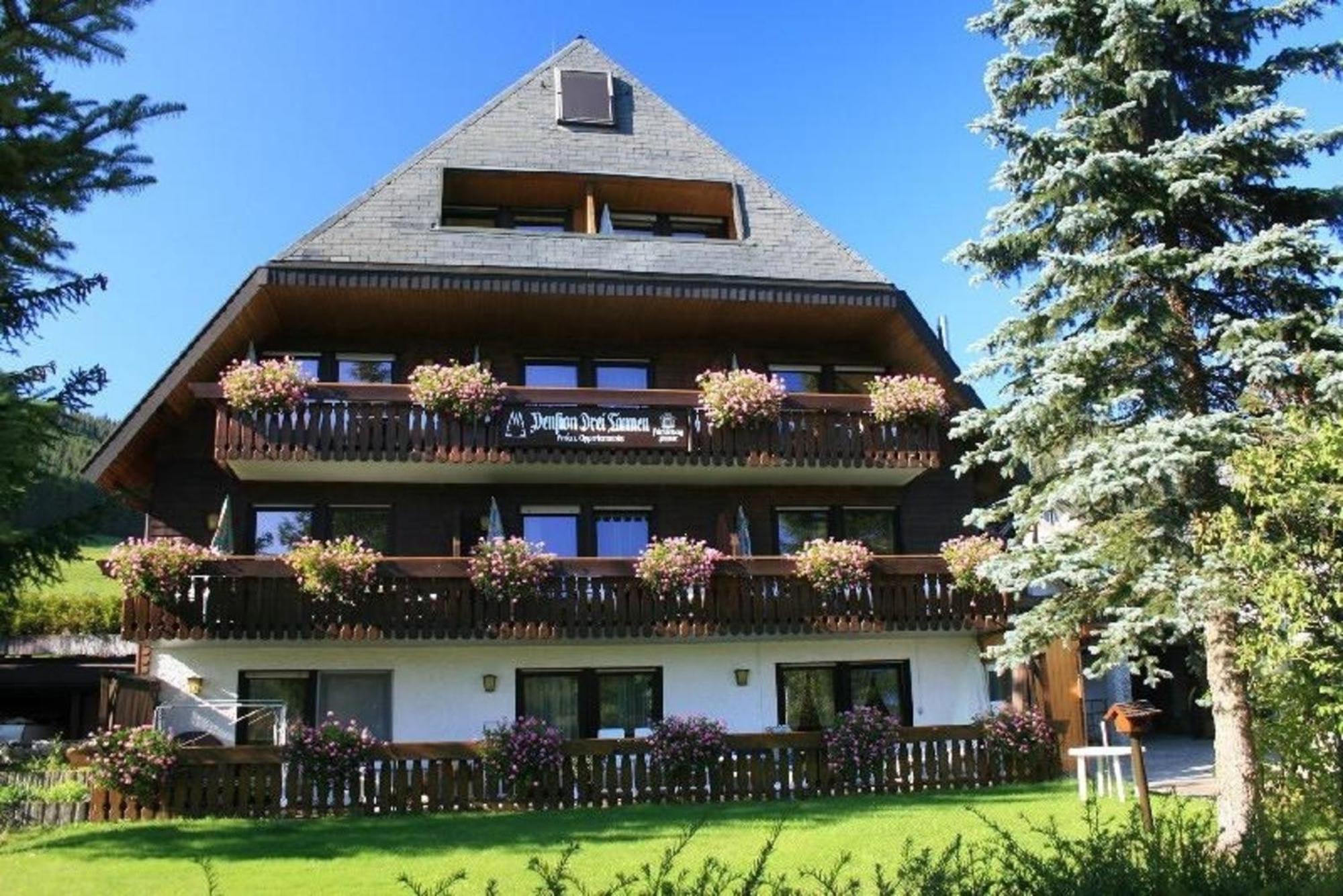 Drei Tannen - Wohnung 04 - Apartmenthaus, Titisee, Nahe Badeparadies מראה חיצוני תמונה
